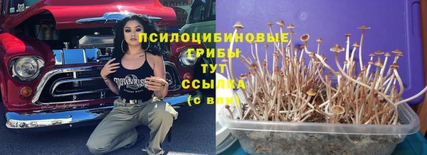 mdma Верхний Тагил