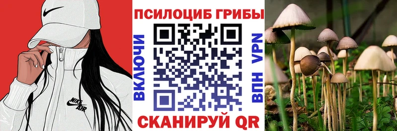 KRAKEN сайт  где купить наркоту  Можайск  Галлюциногенные грибы прущие грибы 