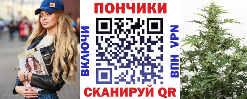 Бошки Шишки Amnesia Можайск
